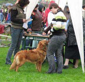 CACIB Łódź 2008