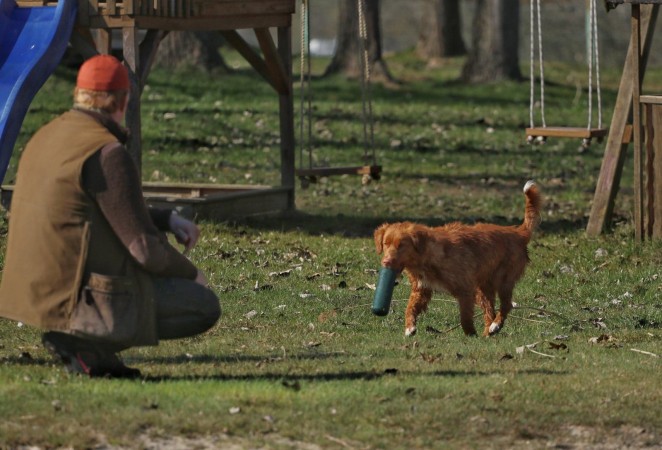 Tolling Seminar 2019