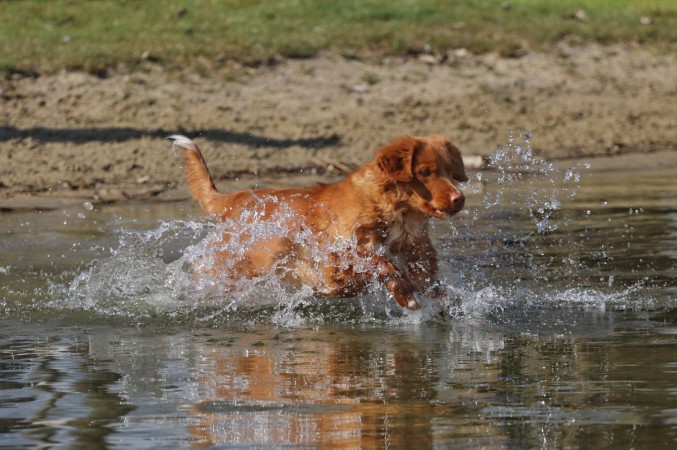 Tolling Seminar 2019