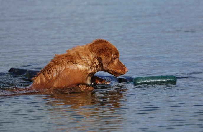 Tolling Seminar 2019