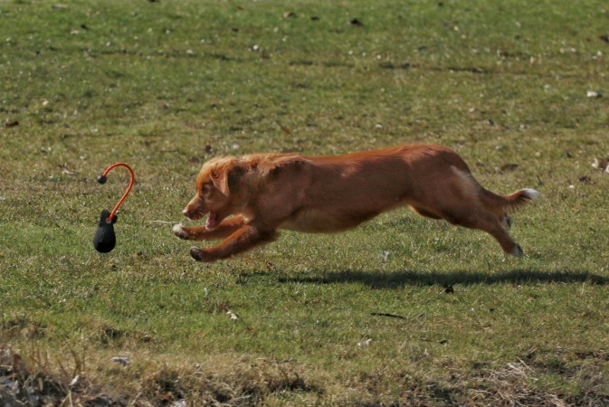 Tolling Seminar 2019