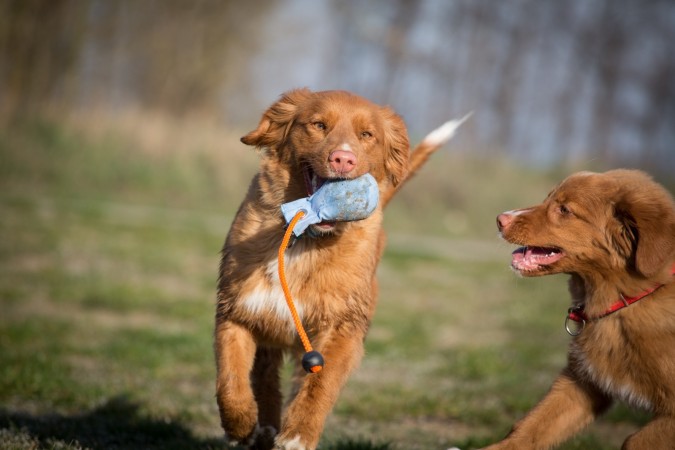 Fun at Tolling Seminar