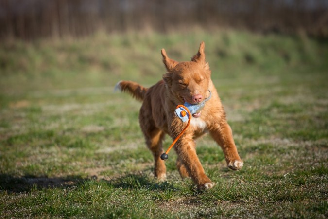 Fun at Tolling Seminar