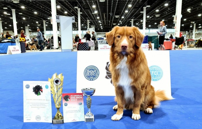 EDS Budapeszt, EJW'21