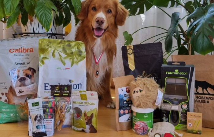 Ozzy - EvViva La Vita GLOW LIKE FIRE