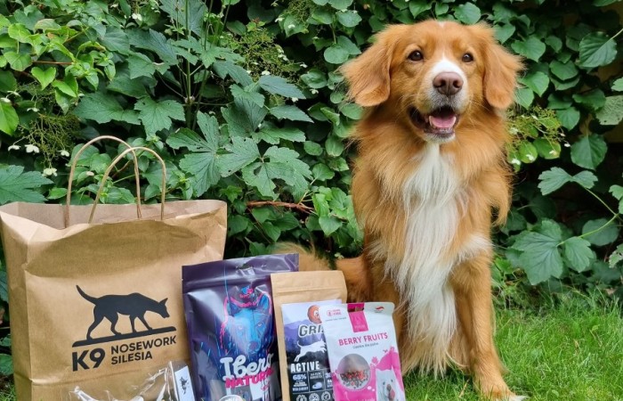 Ozzy - EvViva La Vita GLOW LIKE FIRE