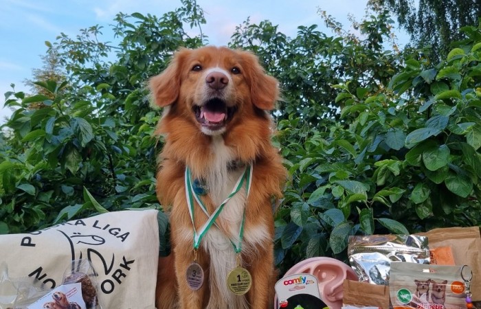 Ozzy - EvViva La Vita GLOW LIKE FIRE