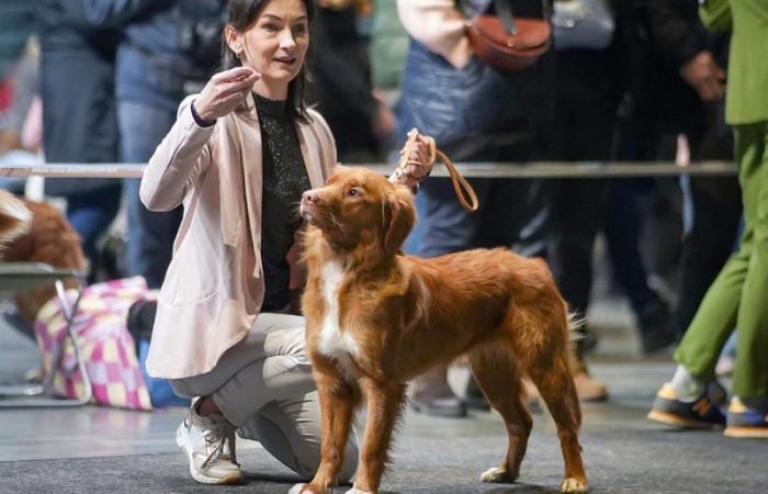 Mł Ch PL Red Hot Chilli's GIRL GONE WILD