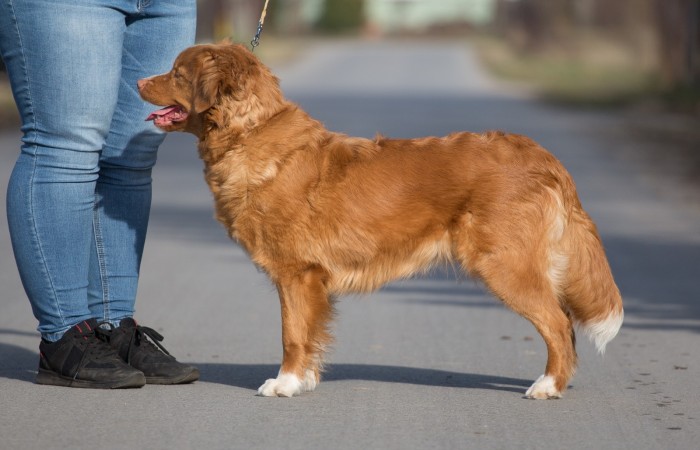 GCh PL, Ch PL, Mł Ch PL Red Hot Chilli's ONCE IN A LIFETIME