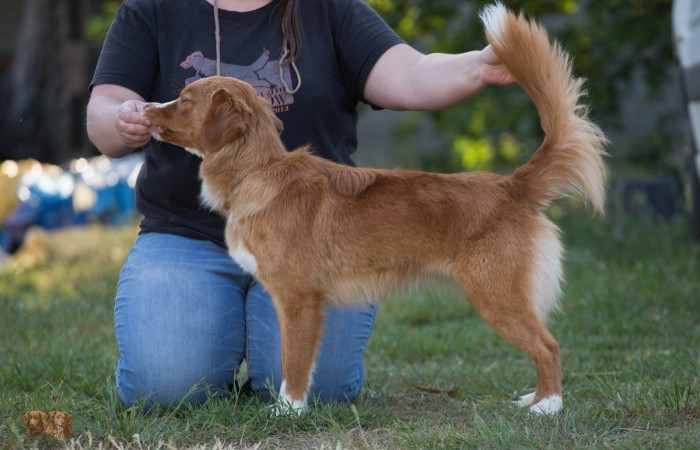 Mł Ch PL Red Hot Chilli's GIN AND LIME