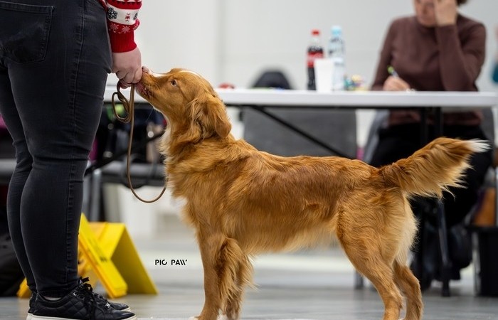 Mł Ch PL Red Hot Chilli's FOXY LADY